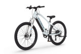 Rower elektryczny Ecobike SX Youth White 14"