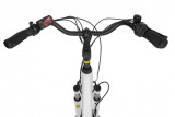 Rower elektryczny Ecobike Basic Nexus White 17"